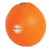 Crescendo Music Orange Shaker Percussion