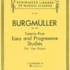 Hal Leonard Manuscript 25 Easy And Progressive Studies For The Piano Op. 100 1 Hal Leonard Manuscript 25 Easy And Progressive Studies For The Piano Op. 100