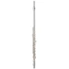 Crescendo Music Jupiter JFL700RE Open-Hole 700 Series Flute