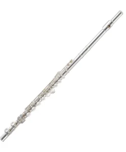 Crescendo Music Trevor James 10X Flute Silver Plated Closed Hole Woodwind