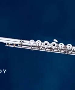 Crescendo Music Woodwind ORION OFL1280S Japan Open Hole Flute B Foot