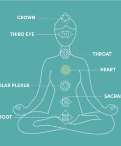 Crescendo Music Percussion QEP Music Pure Crystal Singing Bowl 23 Crescendo Music Percussion QEP Music Pure Crystal Singing Bowl